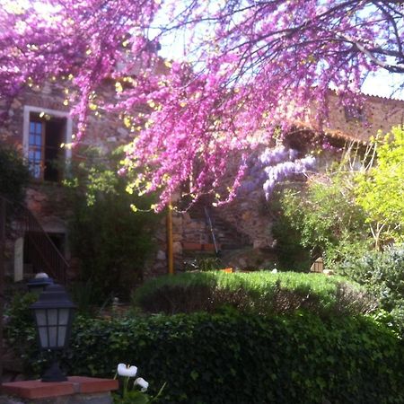La Figuera Bed & Breakfast Camelas Luaran gambar