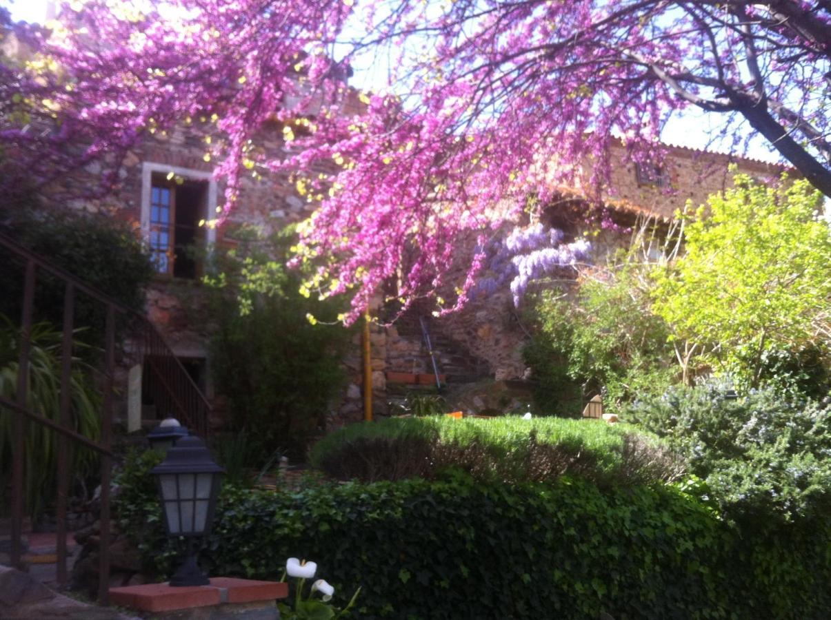 La Figuera Bed & Breakfast Camelas Luaran gambar