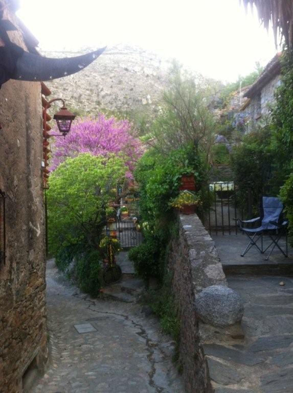 La Figuera Bed & Breakfast Camelas Luaran gambar