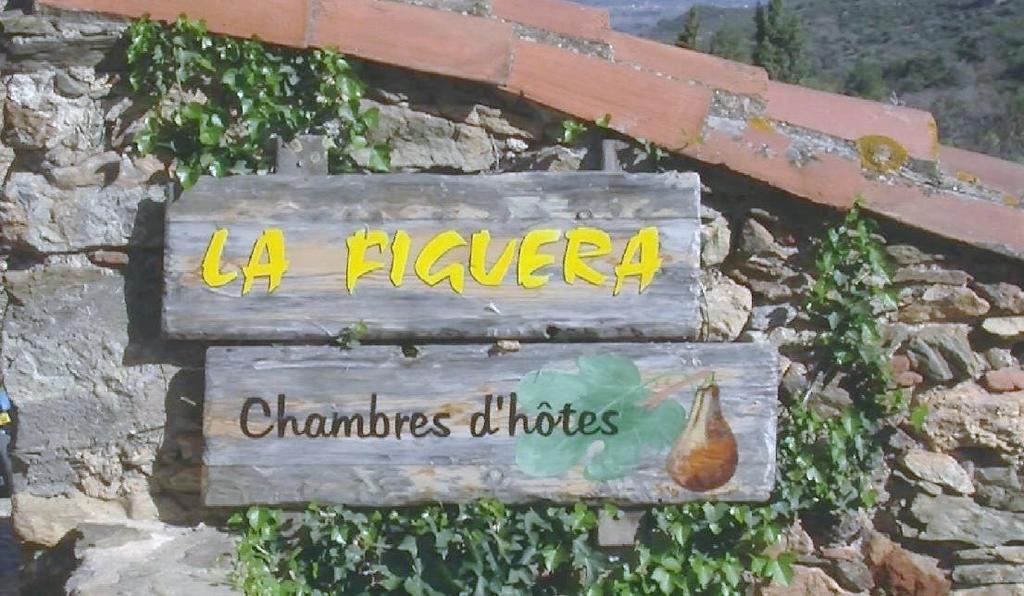 La Figuera Bed & Breakfast Camelas Luaran gambar